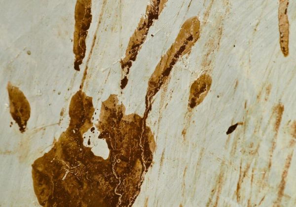 l'impronta insanguinata di una mano sul muro a indicare la tortura indicare la